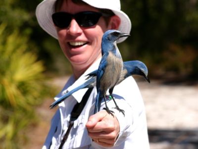 Kate St. John with Florida Scrub-Jays (photo by Chuck Tague)
