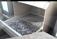 Pitt peregrine nest box (photo from falconcam 12/18/07)