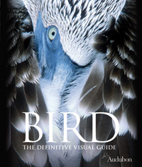 Book: Bird The Definitive Visual Guide