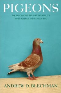Cover of the Pigeon book