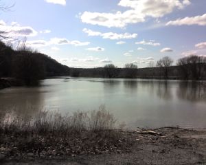 Allegheny River at Rosston, Armstrong County, Mar 23, 2008
