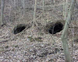 Abandoned beehive coke ovens, Kelly Station, PA, March 24, 2008