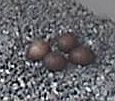 Peregrine Falcon eggs