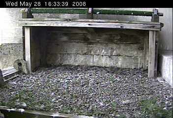 Empty nest at Gulf Tower (from the National Aviary webcam)