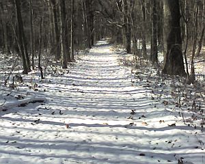 Winter at Moraine State Park (photo by Kate St. John)