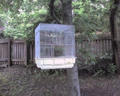 Veronica Snyder's bird cage waits for Budgie (photo by Kate St. John)