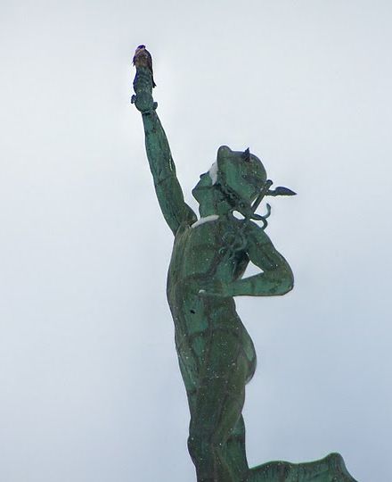 Peregrine Falcon atop the Mercury statue, Rochester, NY (photo by Carol Phillips)