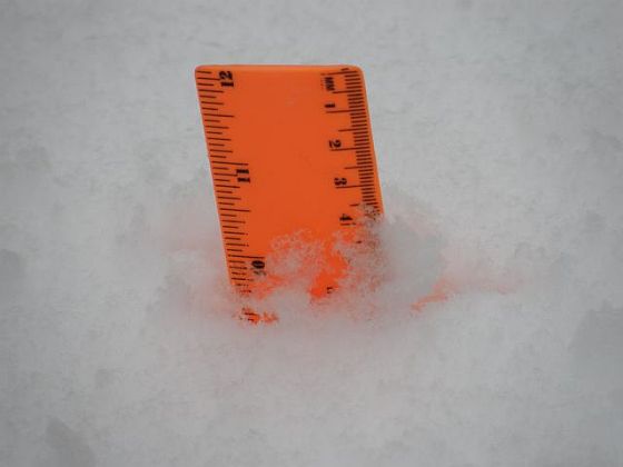 Nearly 10" of snow (photo by Marcy Cunkelman)