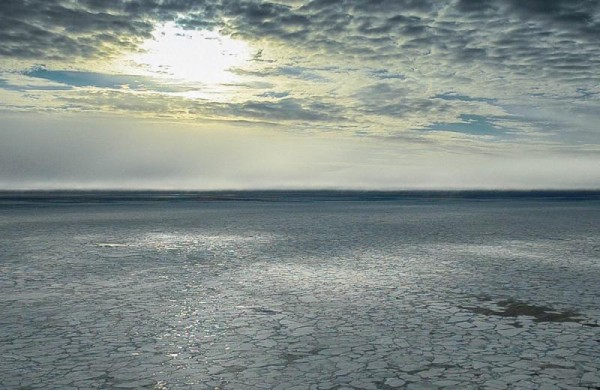 Sea ice in the Arctic (photo courtesy Univeersity of Washington) 