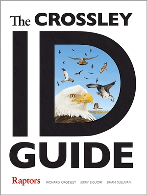 Crossley ID Guide: Raptors (image from Princeton University Press)