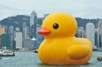 Florentijn Hofman's Giant Rubber Duck in Syndey Harbor (photo courtesy of Florentijn Hofman's Rubber Duck Project)