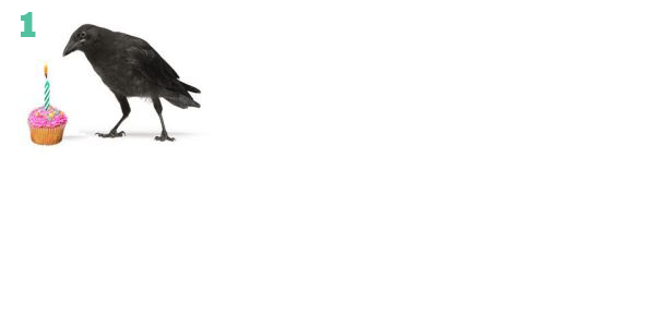 Six Crows, six cupcakes, six years (animaiton by Joan Guerin)