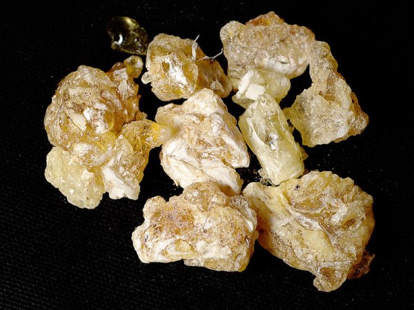 Frankincense from Yemen (photo from Wikimedia Commons)
