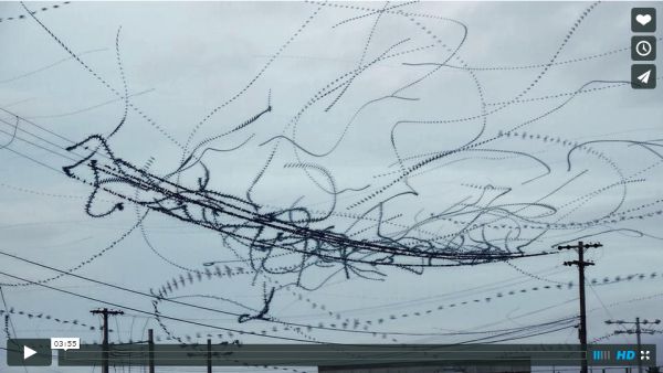 Starling flight-path video by Dennis Hlynsky on Vimeo