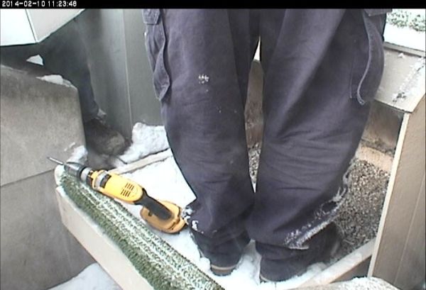 Installing the new streaming falconcam (photo from the National Aviary falconcam a Univ of Pittsburgh)