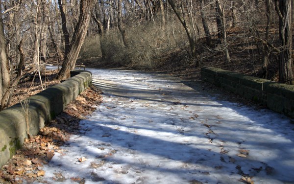 Icy trail in Schenley Park, 22 Feb 2014 (photo by Kate St. John)