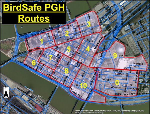 BirdSafe Pittsburgh monitor routes (map from Matt Webb)