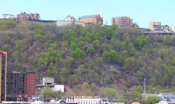 Spring green trees in Mt. Washington, Pittsburgh (photo by Kate St. John)