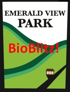 Emerald View Bio Blitz (logo modified from Mt. Washington Community Development Corporation)