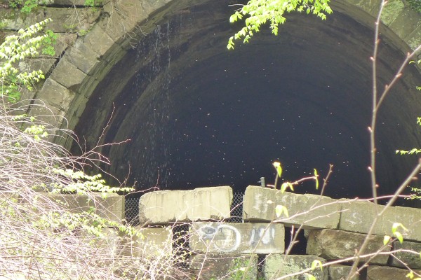 Abandoned railroad tunnel, Armstrong Trail, Brady's Bend (photo by Kate St. John)