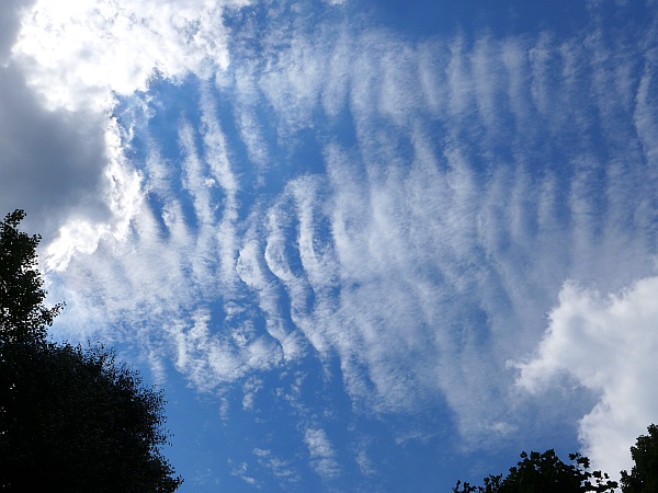 Cloud ripples 12 hours before the cold front (photo by Kate St. John)