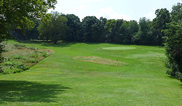 Schenley Park Golf Course, Hole 14, the rough is for birds (photo by Kate St. John)