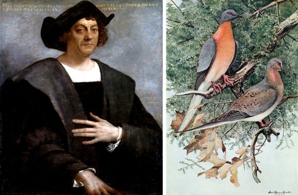 Portraits of Christopher Columbus and passenger pigeons (public domain via Wikimedia Commons)