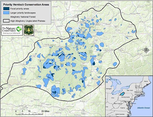 Priority hemlock conservation areas on the Allegheny High Plateau (map from The Nature Conservancy and US Forest Service)