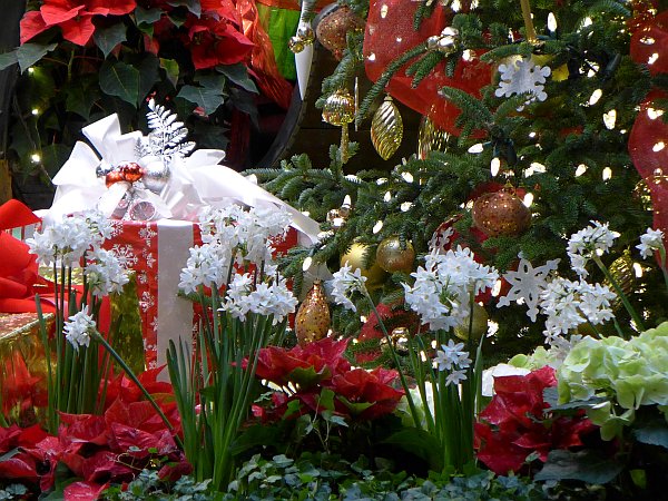 Christmas decorations at Phipps Conservatory (photo by Kate St. John)