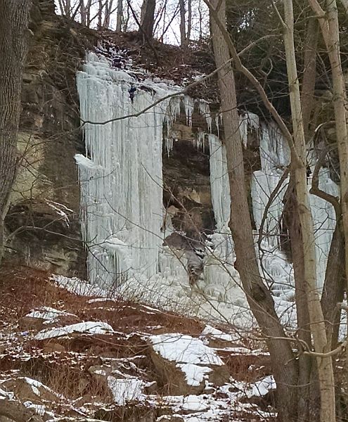 Cliff lined with massive icicles (photo by Kate St. John)