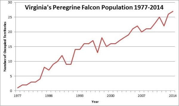 Breeding peregrine falcons in Virginia from 1977-2014. Data from CCB.