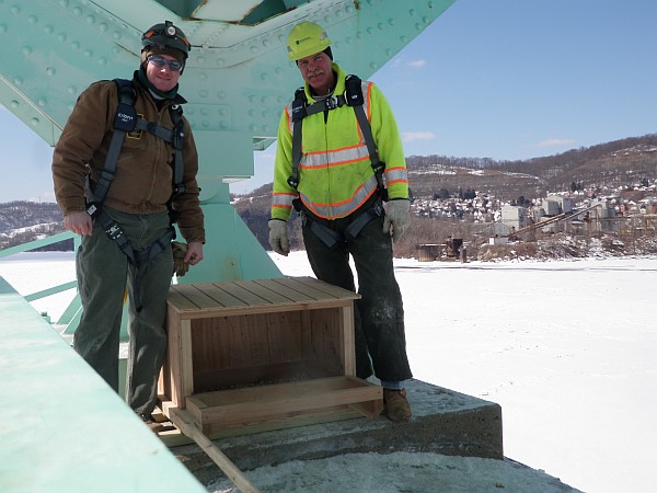 Tom Keller, PGC, and PennDOT worker District 11 next to new peregrine nestbox on the Tarentum Bridge (photo from Tom Keller)