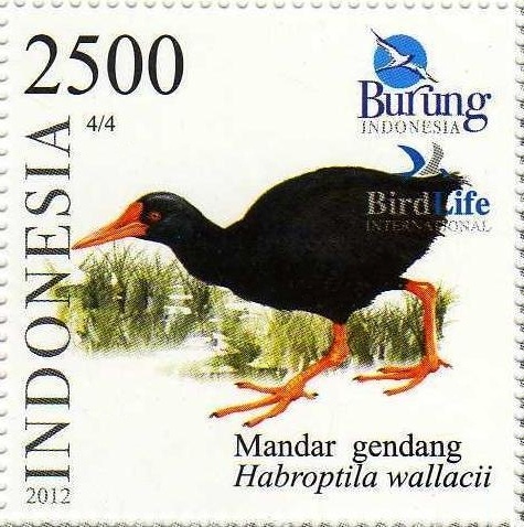 The Invisible Rail on an Indonesian postage stamp (image from Wikimedia Commons)