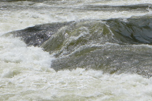 Wall of water in the Youghiogheny River at Ohiopyle, 1 July 2015 (photo by Kate St. John)