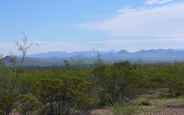 Mountains to the northeast of Sierra Vista (photo by Kate St. John)