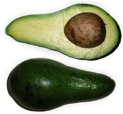 Open avocado showing huge seed (photo from Wikimedia Commons)