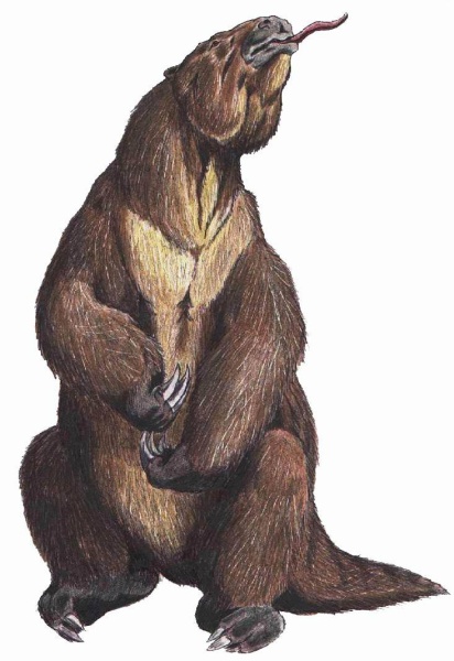 Megatherium, extinct ground sloth (illustration from Wikimedia Commons)