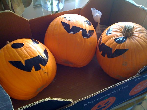 Halloween pumpkins, uncarved (photo from Wikimedia Commons)