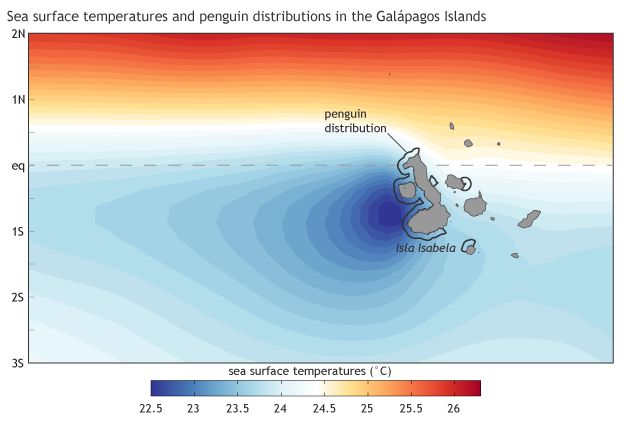 Map of annual sea surface temperature and distribution of penguins at the Galapagos (map from climate.gov, adapted from original in Karnauskas, et al., 2015.)