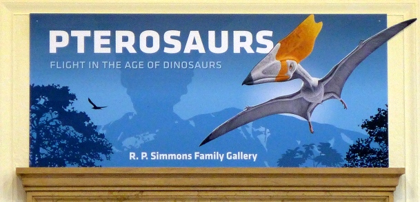 Pterosaurs banner at Carnegie Museum of Natural History, Pittsburgh (photo by Kate St. John)