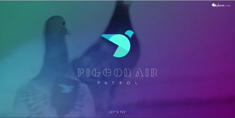 Screenshot from Pigeon Air Patrol website: pigeonairpatrol.com