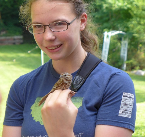 Bander Becca Ralston holds a male song sparrow at Neighborhood Nestwatch (photo by Kate St. John)