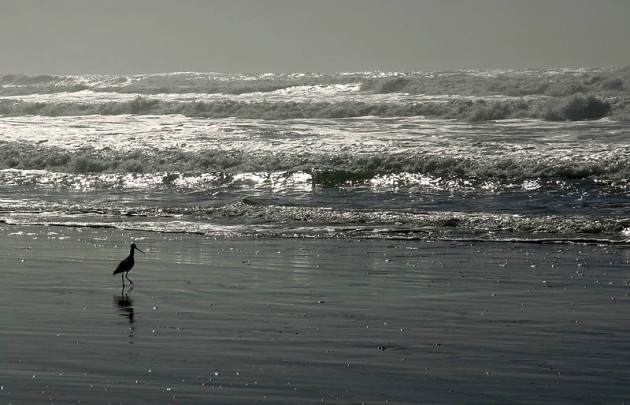 Waves and ! at Ocean Beach (photo by Broken Inaglory via Wikimedia Commons)