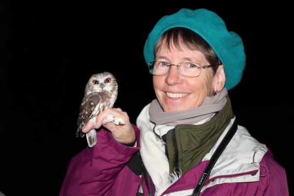 Kate St. John holding a banded northern saw-whet owl, 26 Oct 2016 (photo by Doug Cunzolo)