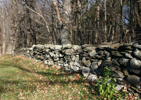 Stone wall (located in Vermont, photo from Wikimedia Commons)