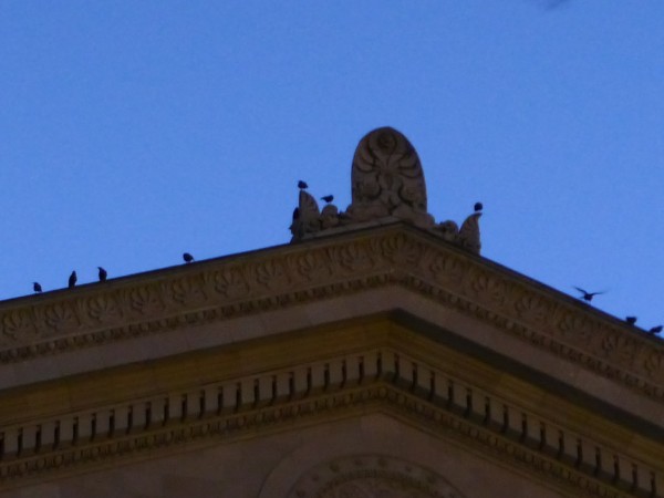 As night falls some crows choose Alumni Hall rooftop for their roost (photo by Kate St. John)