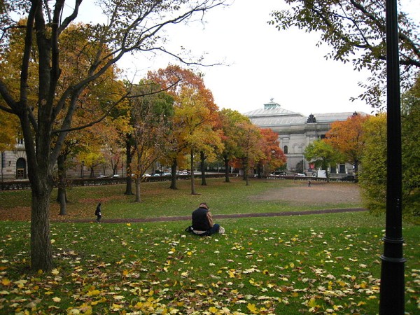 The Carnegie Museum of Natural History as seen from the lawn at Pitt (photo from Wikimedia Commons)