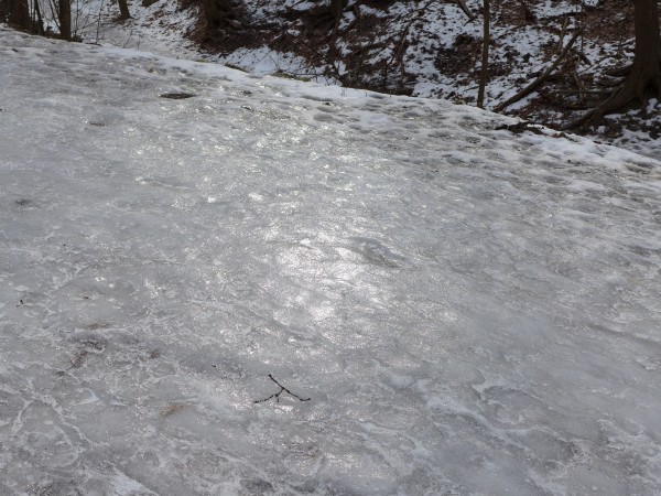 Icy path in Schenley Park, Feb 2015 (photo by Kate St. John)