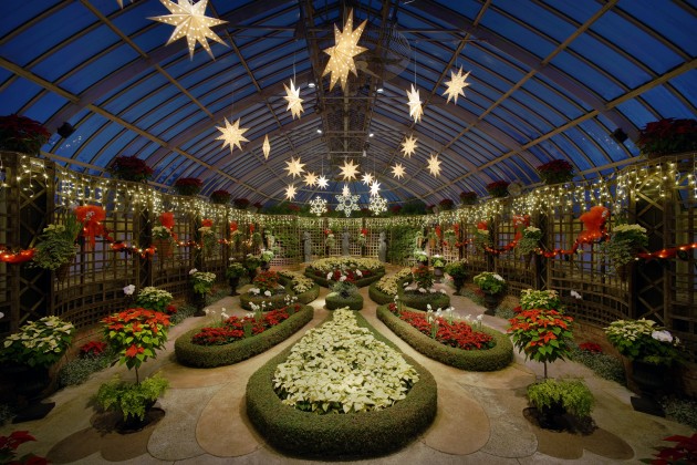 Phipps Conservatory Winter Flower Show 2015, Broderie Garden (Featured photo from Wikimedia Commons)