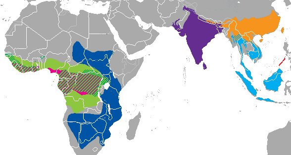 Range map of pangolin species (image from Wikimedia Commons)